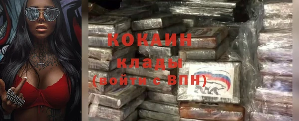 спиды Богородицк
