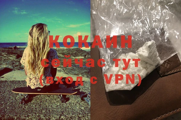 спиды Богородицк