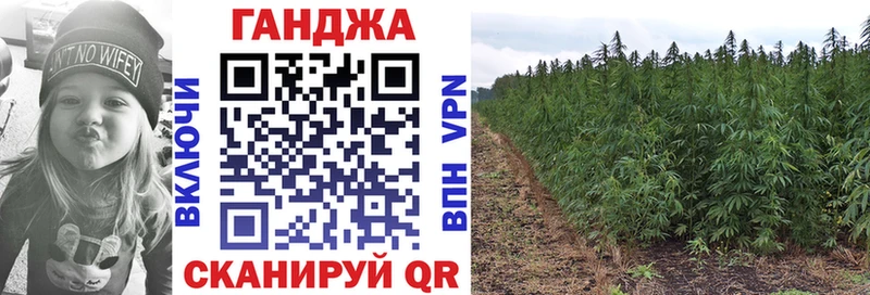 Каннабис конопля Купино